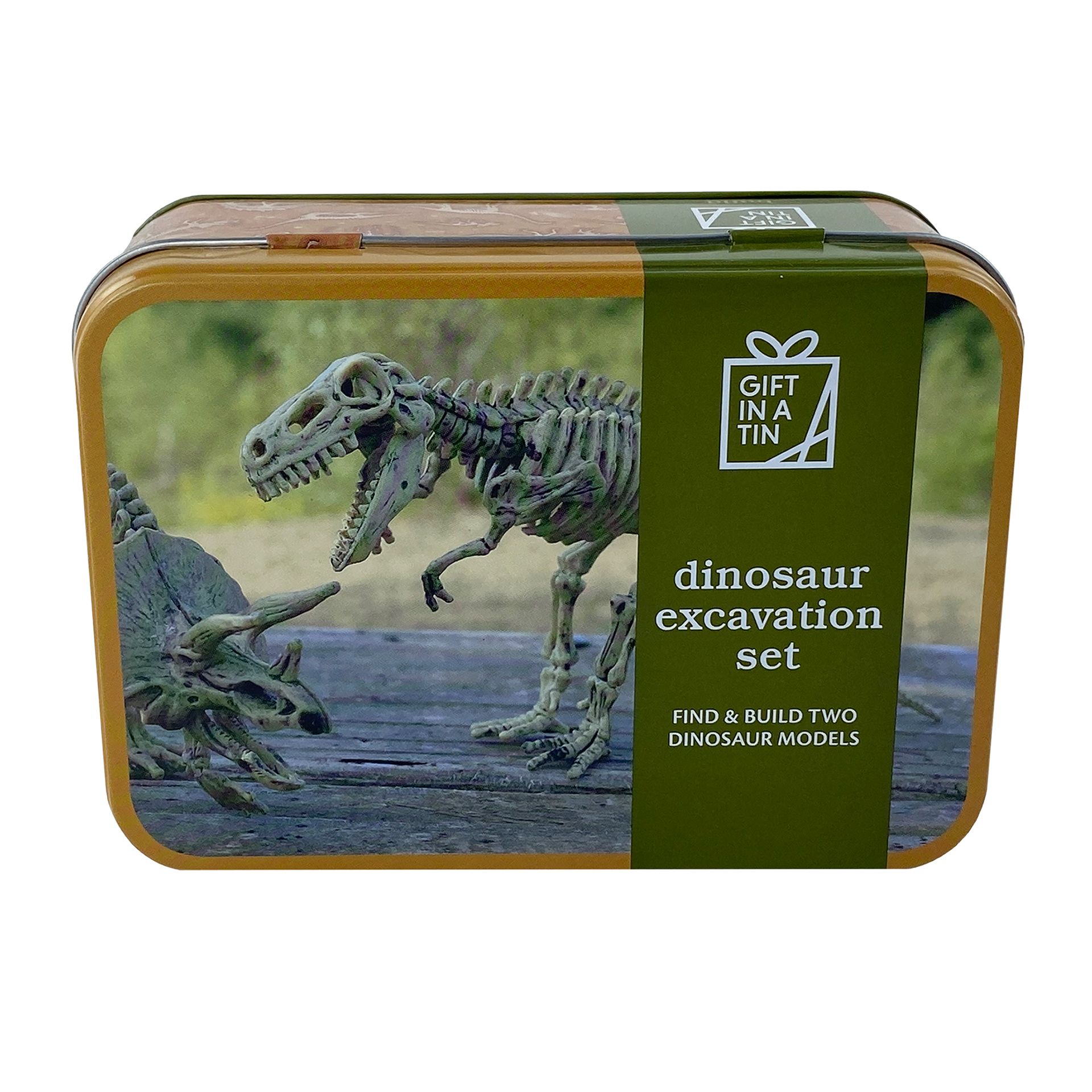 dinoszaurusz-regesz-asatas-keszlet